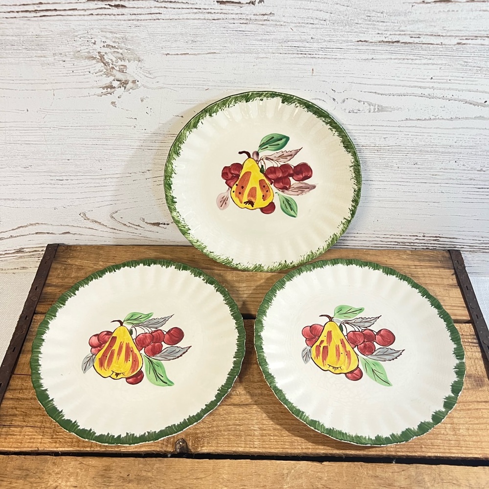Vintage plates blue ridge southern potteries hand painted plates